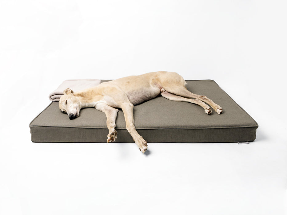 The Forever Hounds Trust Big Memory Foam Dog Bed in Earth