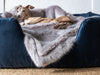 Charley Chau Faux-Fur Dog Blanket in Lilac Rabbit - machine washable, designer dog blanket