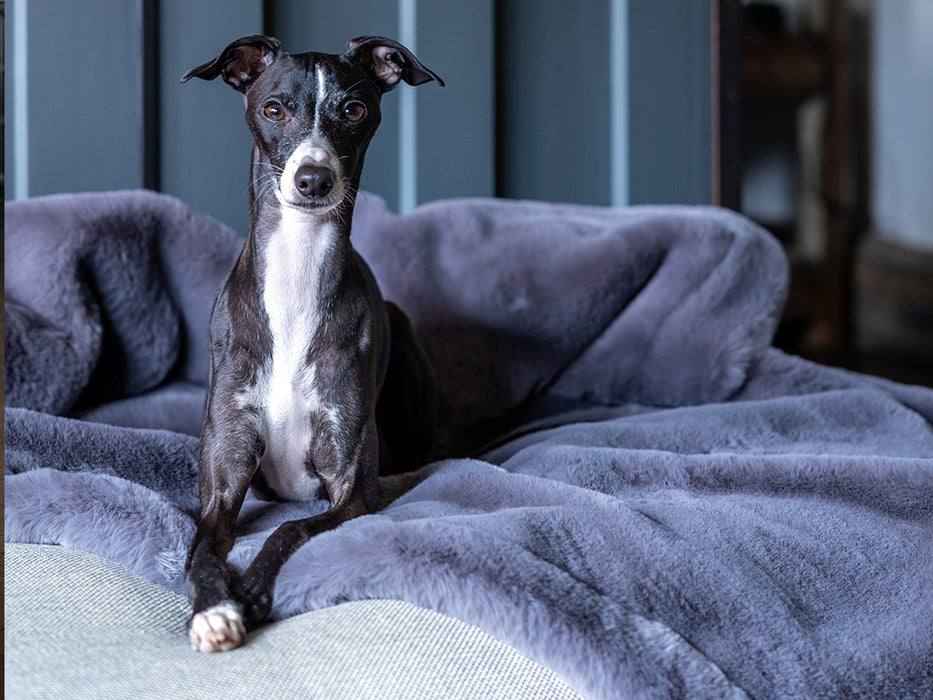 Charley Chau Faux-Fur Dog Blanket in Russian Blue - machine washable, designer dog blanket