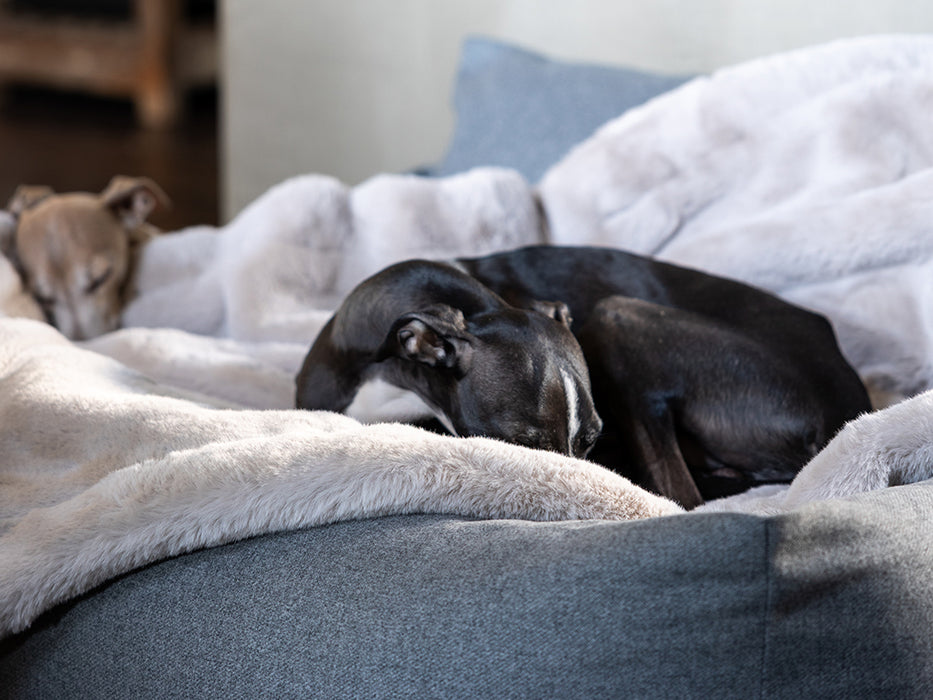 Charley Chau Faux-Fur Dog Blanket in Silver Mink - machine washable, designer dog blanket