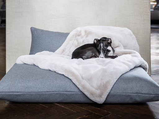 Boredom Busters - keeping our dogs entertained — Charley Chau - Luxury Dog  Beds & Blankets