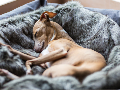 Charley Chau Faux-Fur Dog Blanket in Wolf Grey - machine washable, designer dog blanket