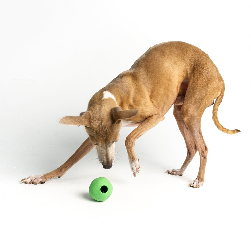 Natural Rubber Treat Ball by Beco Pets at Charley Chau