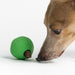 Natural Rubber Treat Ball by Beco Pets at Charley Chau