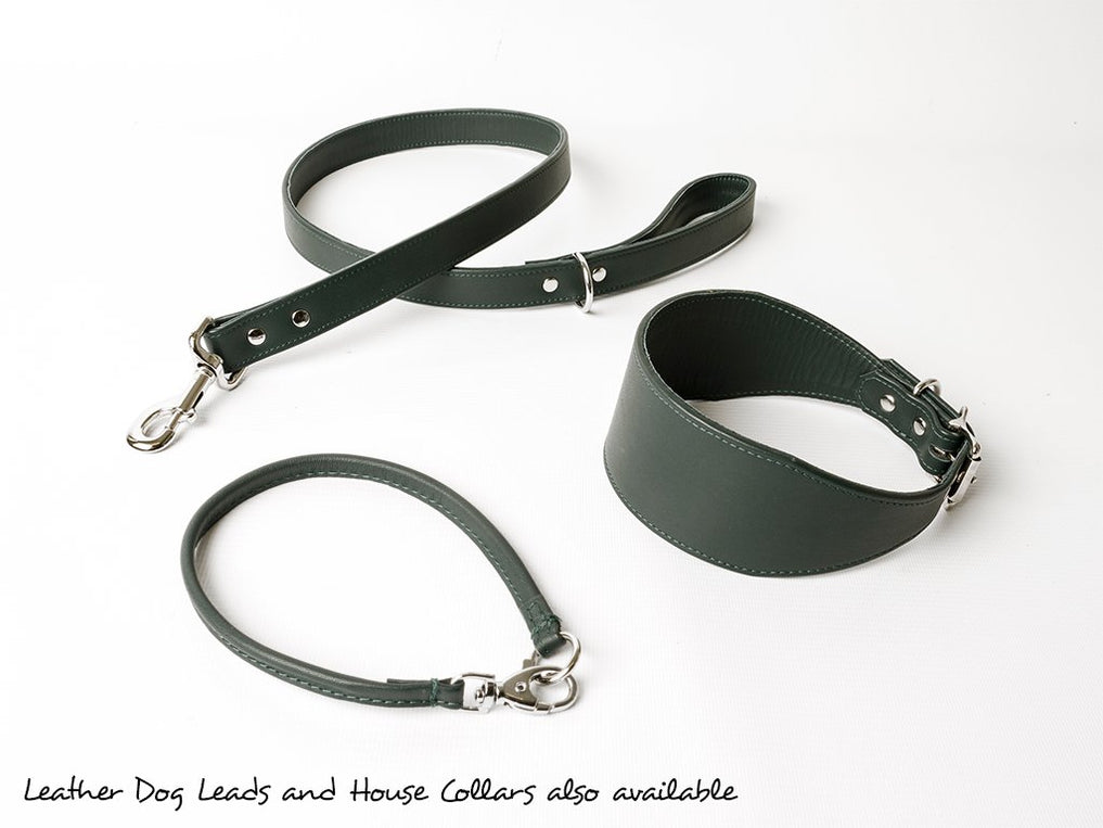 Leather Greyhound Collars by Petiquette — Charley Chau luxury dog bedding