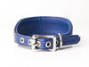 Bespoke Italian Greyhound Collar - Vibrant Blue