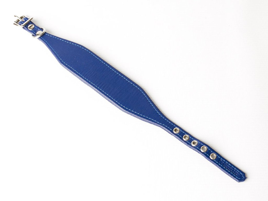 Bespoke Italian Greyhound Collar - Vibrant Blue