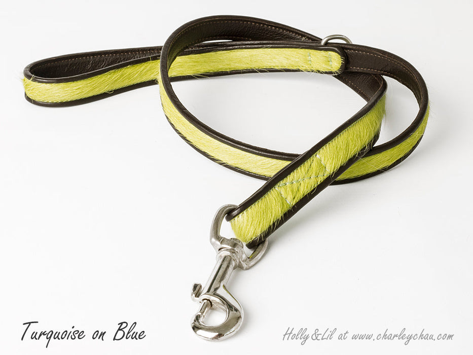 Brightside Dog Leads by Holly&Lil