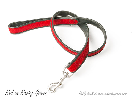 Brightside Dog Leads by Holly&Lil