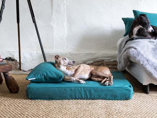 Custom Designer C-shape luxury ROUND DOG BEDS made in the USA