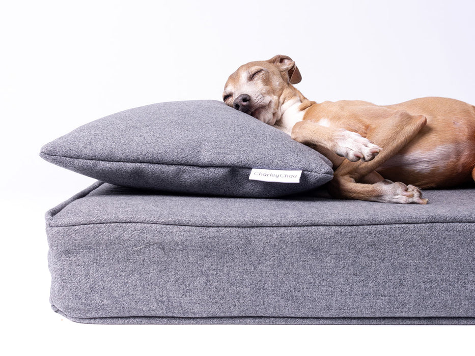 Charley Chau Memory Foam Dog Bed with anti-microbial mattress protector