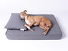 Charley Chau Memory Foam Dog Bed with anti-microbial mattress protector