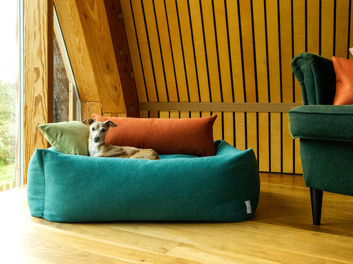 The Bliss Bolster Dog Bed by Charley Chau