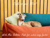 Exceptional quality dog bed by designers, Charley Chau