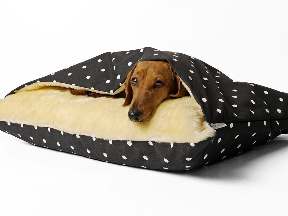 Dachshunds love to burrow!