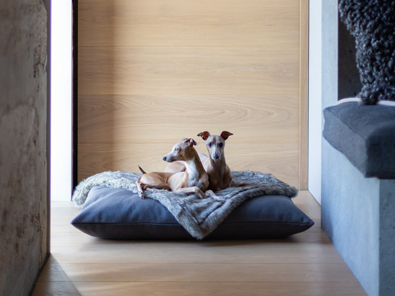 Luxury Mattress Style Dog Bed — Charley Chau Luxury Dog Beds & Blankets