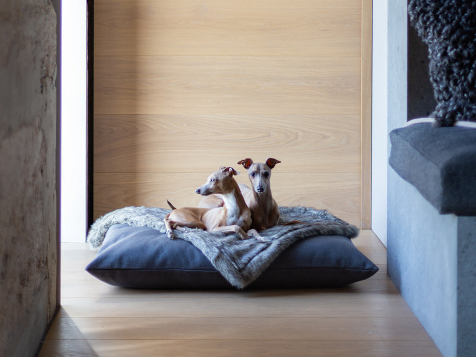 Charley Chau luxury dog bed mattress