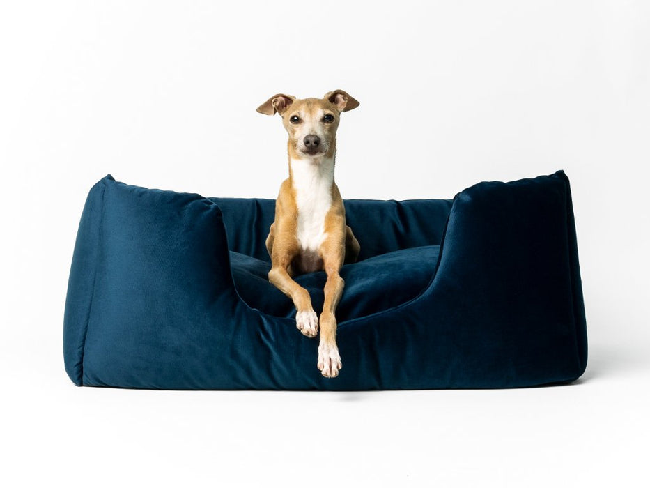 Deeply Dishy Dog Bed by Charley Chau - Velour Midnight