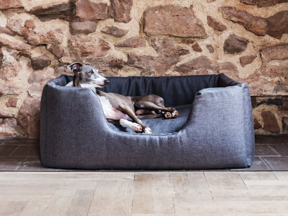 Deeply Dishy Dog Bed by Charley Chau in Weave