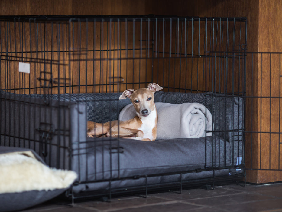 Charley Chau luxuey dog crate mattress and crate bumpers