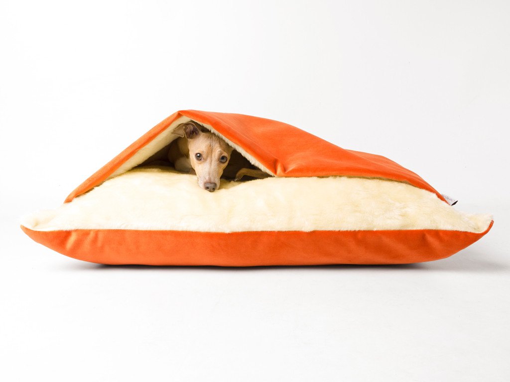 burrow bud cozy cuddle pet bed