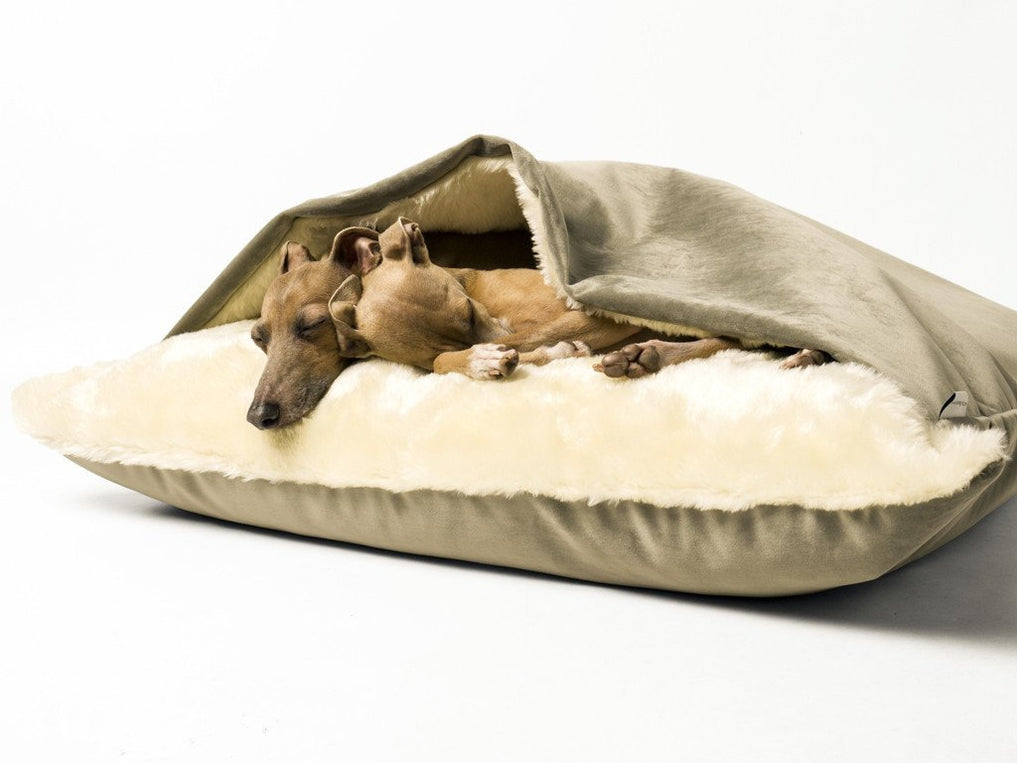 Dog Snuggle Bed in Velour — Charley Chau Luxury Dog Beds & Blankets