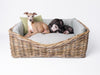 Luxury Rattan Dog Basket with mattress and bed bumpers
