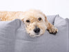 Charley Chau Ducky Donut Dog Bed in China Gray with Alfie, Labradoodle in the large size dog bed