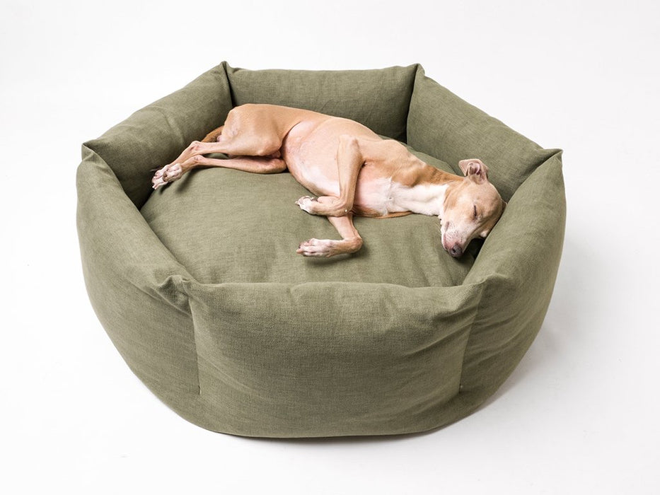 Charley Chau Ducky Donut Dog Bed in Fern