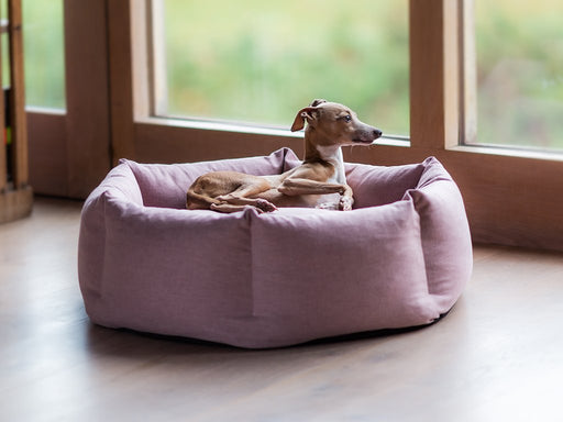Charley Chau Ducky Donut Dog Bed - machine washable luxury dog bed
