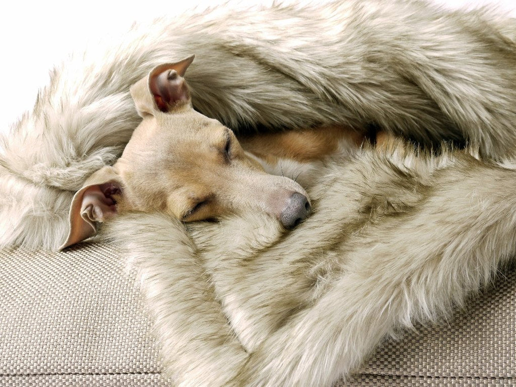 FauxFur Dog Blanket in Oatmeal — Charley Chau Luxury Dog Beds & Blankets