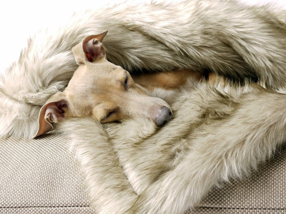 Charley Chau Faux-Fur Dog Blanket in Oatmeal - machine washable, designer dog blanket