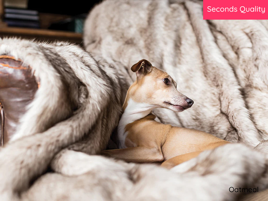 Faux-Fur Dog Blanket - Medium - Oatmeal - Seconds Quality