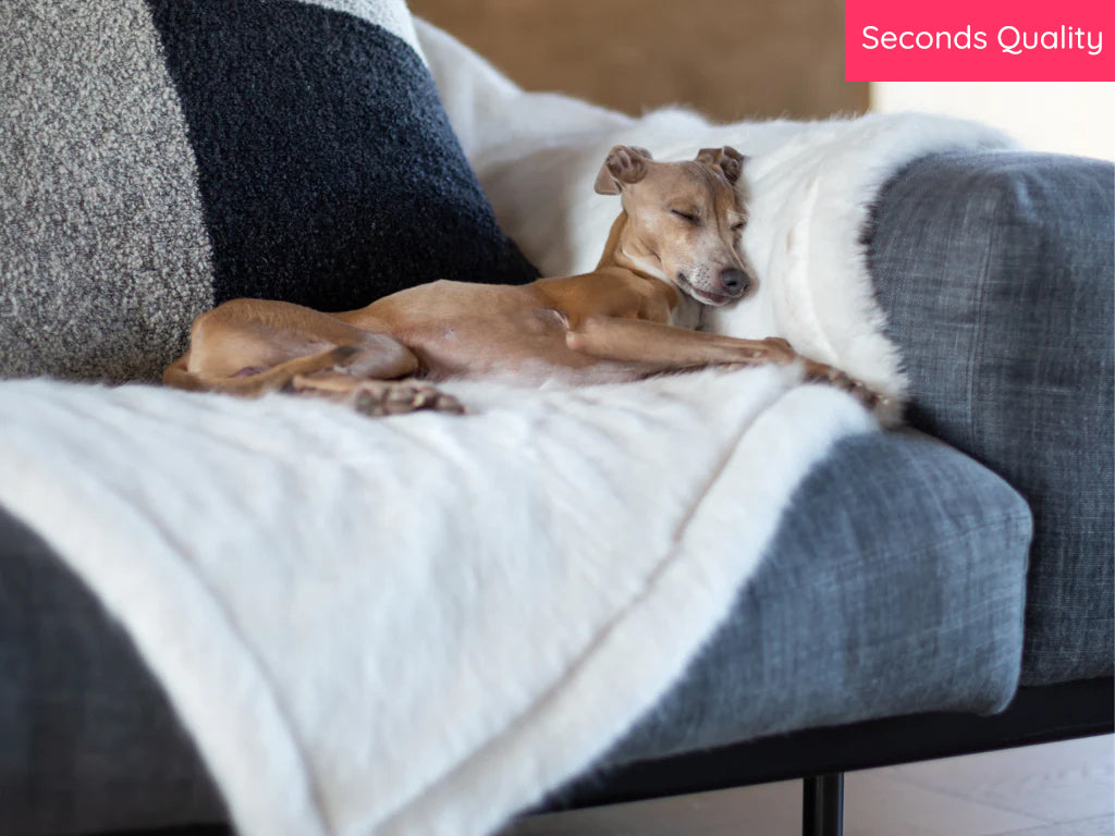 Faux-Fur Dog Blanket - Large - Polar Bear - Seconds Quality — Charley Chau  - Luxury Dog Beds u0026 Blankets