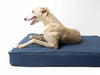The Forever Hounds Trust Big Memory Foam Dog Bed in Navy