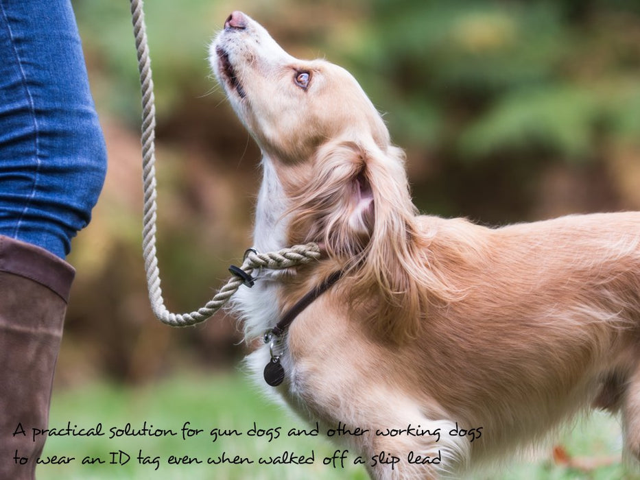 Flat dog top collar tag
