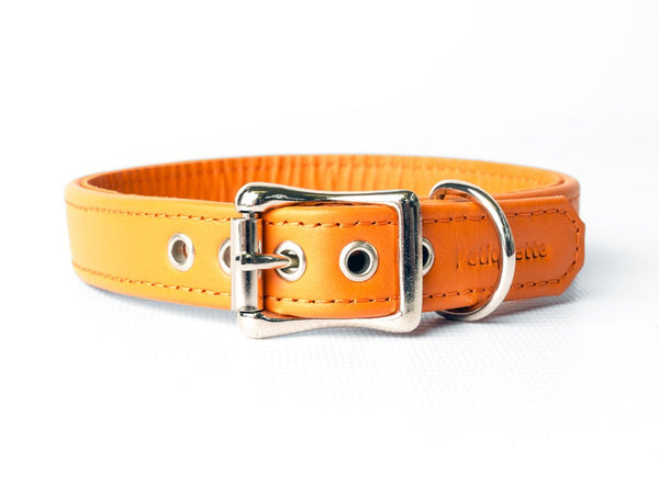 Italian Leather Puppy Collar