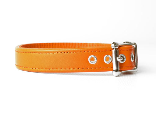 Charley Chau Bespoke Leather Puppy Dog Collar