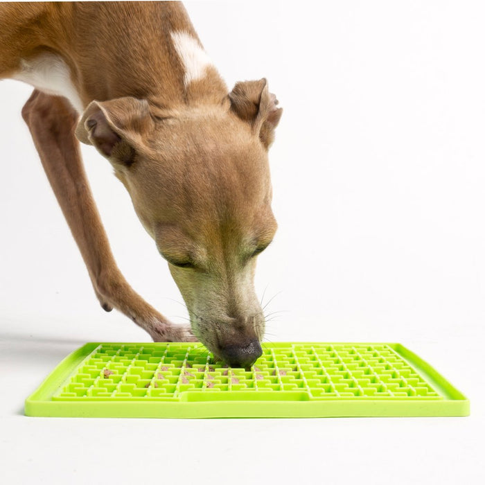 Lickimat Buddy Treat Mat for an extended treat session