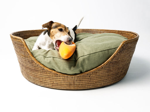 Luxury Rattan Peel Dog Basket & Mattress Set - Round