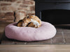 Charley Chau Luxury Round Dog Bed Mattress  - Blush