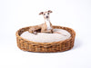 Luxury dog bed: Oval Rattan Dog Basket with Deep-filled Dog Bed Mattress