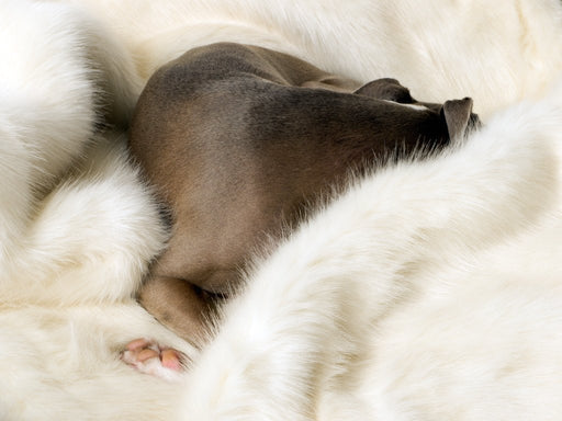 Charley Chau Faux-Fur Blanket in Polar Bear