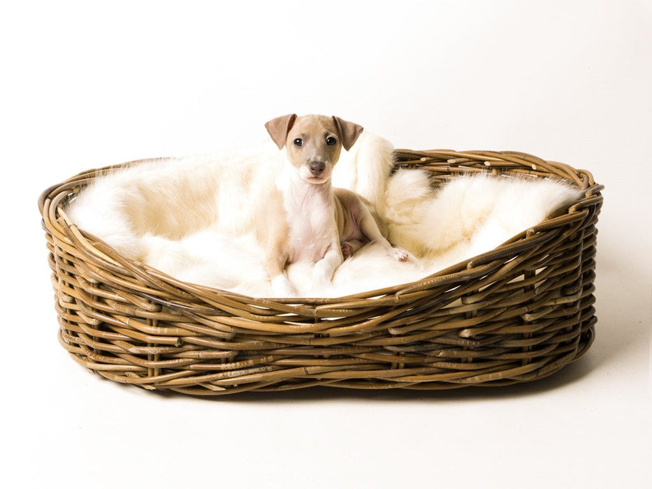 Luxe-up your dog's dog bed with Charley chau's Faux-Fur Blanket in Polar Bear