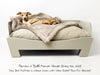 Raised Wooden Dog Bed in Manor House Gray