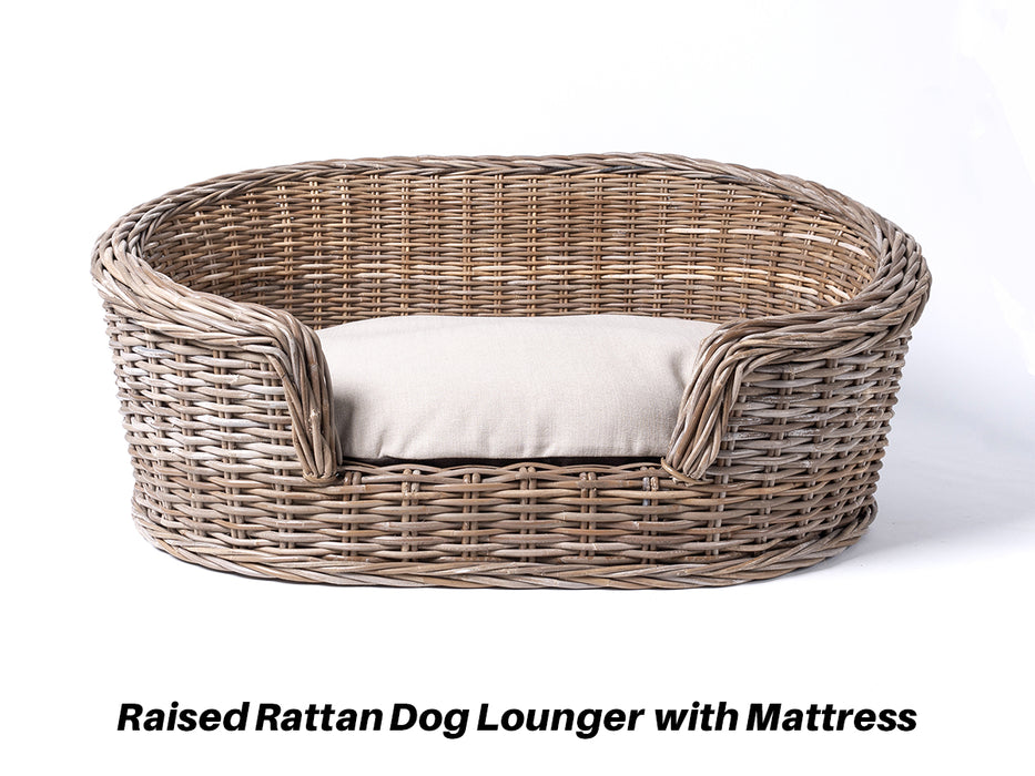 Raised Rattan Dog Lounger