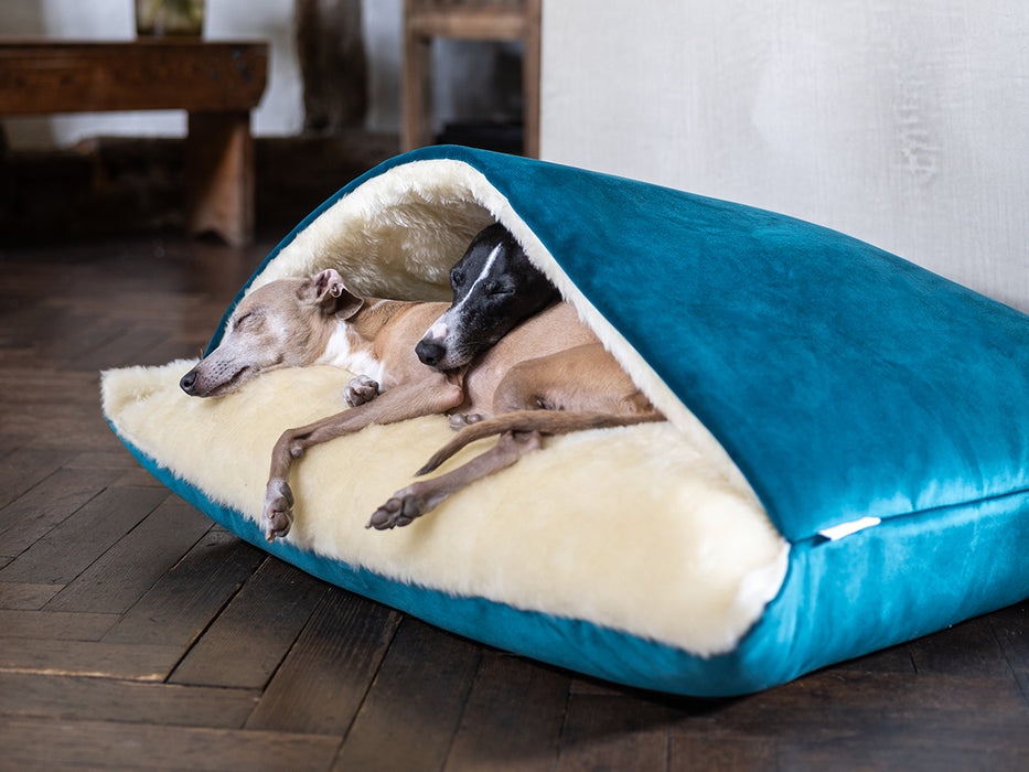 Charley Chau Winter Warm Snuggle Bed / Burrow Bed for dogs in Velour / Velvet