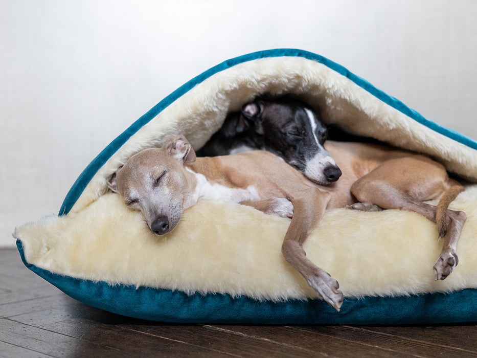 Charley Chau Winter Warm Snuggle Bed / Burrow Bed for dogs in Velour / Velvet