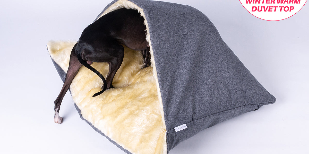 Winter Warm Snuggle Bed For Dogs — Charley Chau Luxury Dog Beds