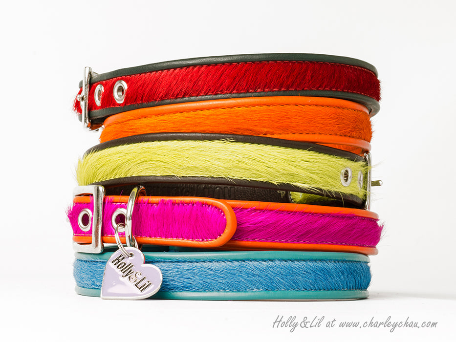 Brightside Slim Dog Collars by Holly&Lil